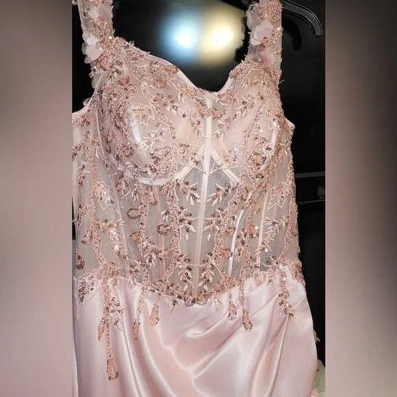 Cinderella Divine blush pink dress/gown - Picture 2 of 7